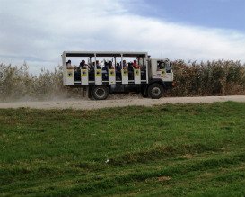 טיולי משפחות, טיולים עם ילדים, פעילויות טו בשבט לילדים